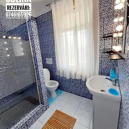 Vakantiehuis Casa De Vacanta Rodica *